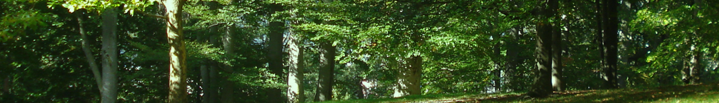 European younger nude gays chat live sex Completely free